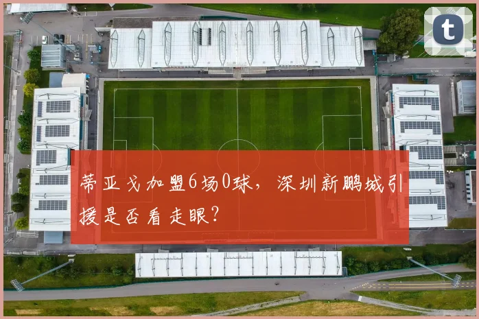 蒂亚戈加盟6场0球,深圳新鹏城引援是否看走眼?