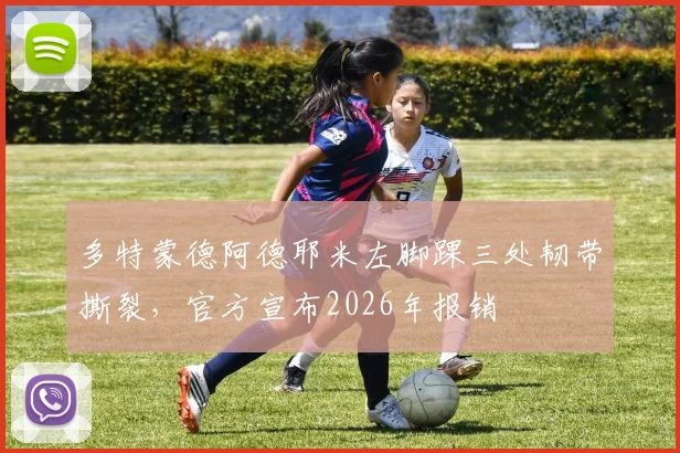 多特蒙德阿德耶米左脚踝三处韧带撕裂,官方宣布2026年报销